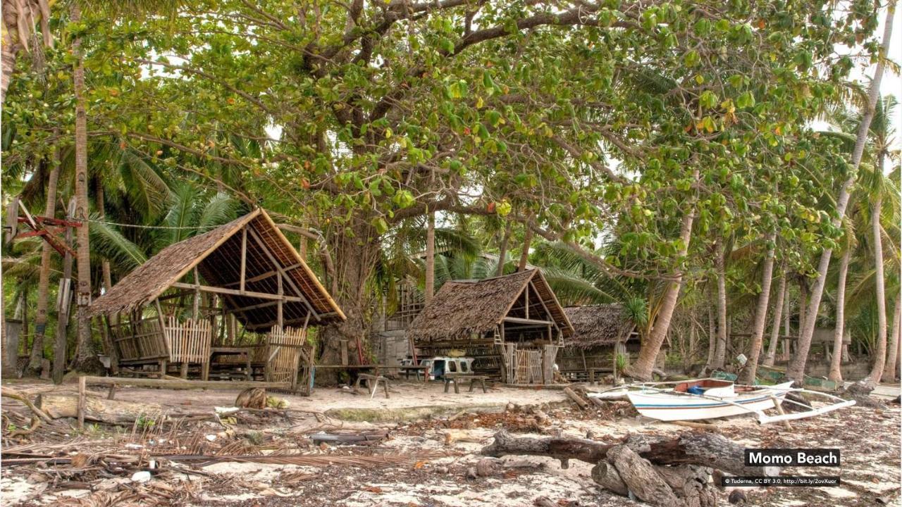 Zen Rooms Greenfields Inn Bohol Panglao Dış mekan fotoğraf